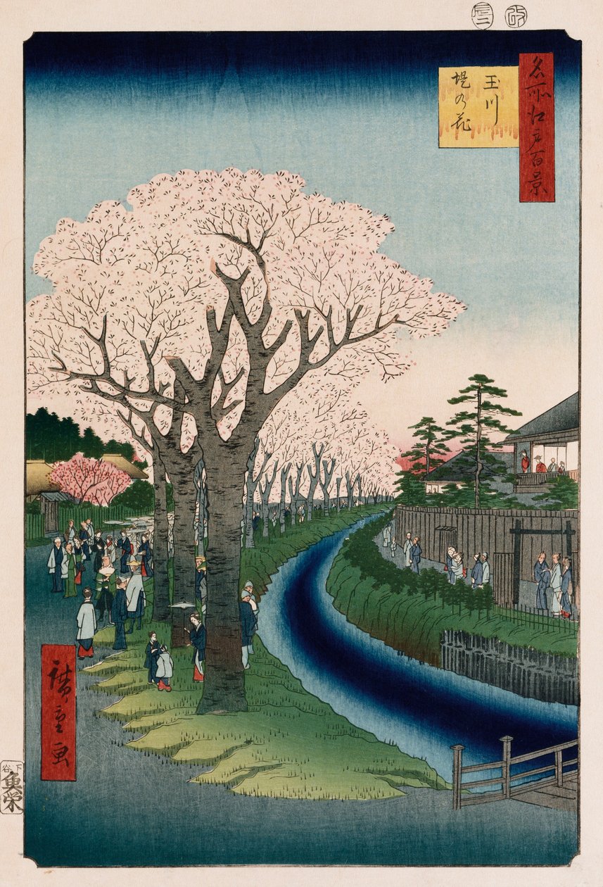 "Körsbärsblommor, Tama River Bankment" av Ando or Utagawa Hiroshige