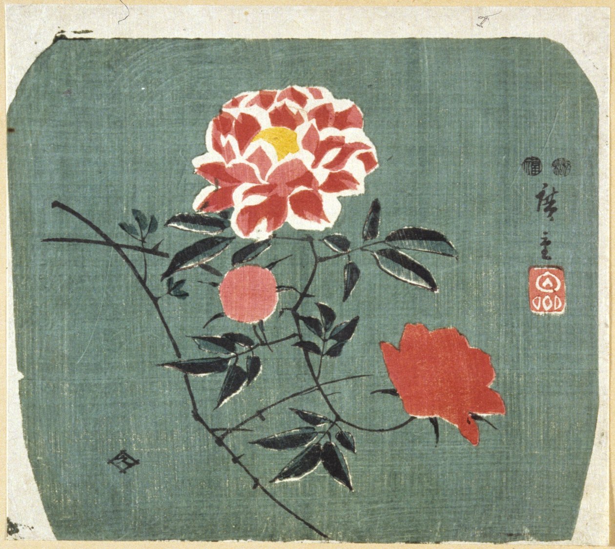 Fläkttryck: Rose av Ando or Utagawa Hiroshige