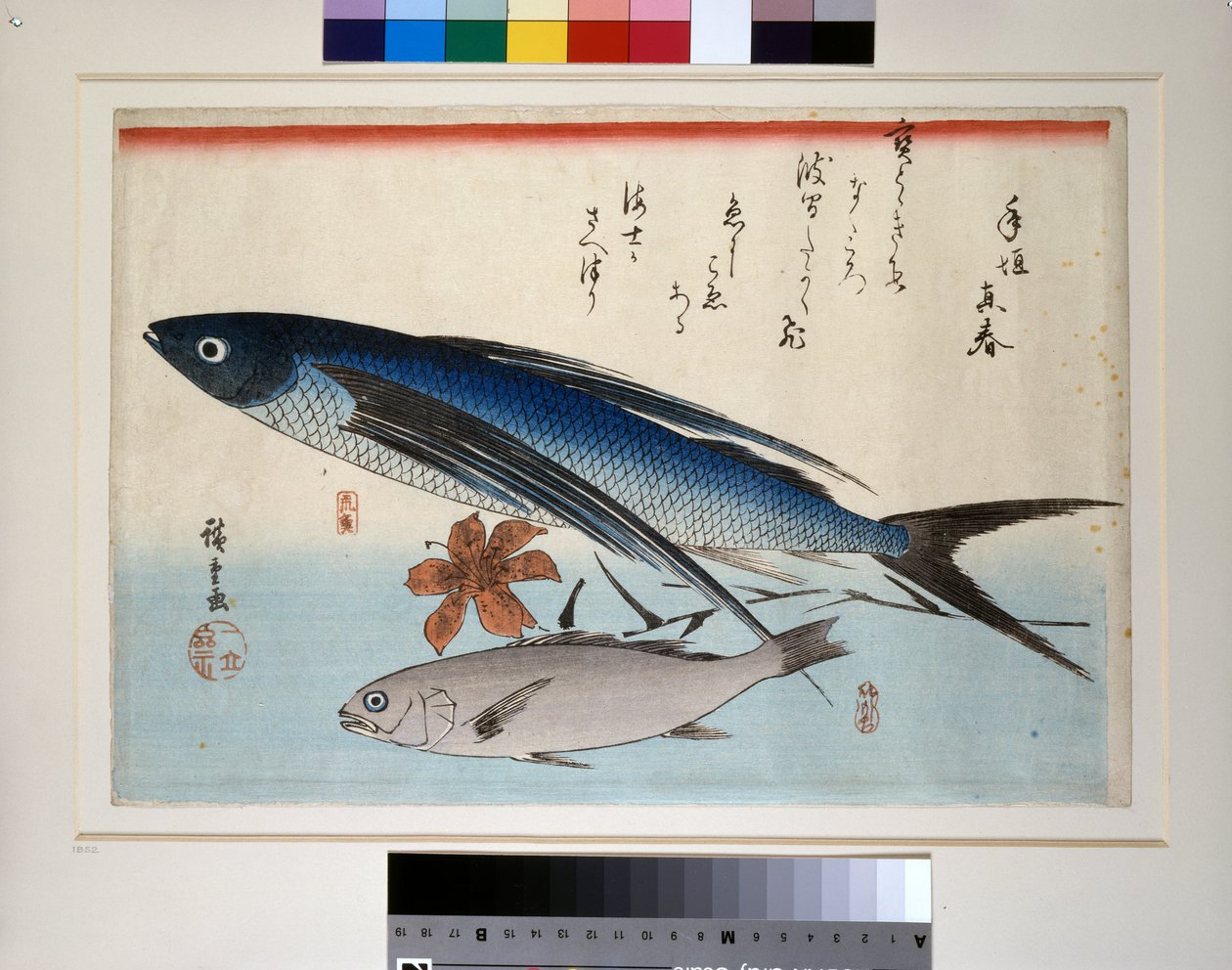 Flygande fisk, ishimochi-fisk och lilja av Ando or Utagawa Hiroshige
