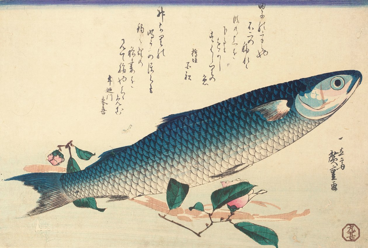 Grå mulle, Camellia och Udo av Ando or Utagawa Hiroshige