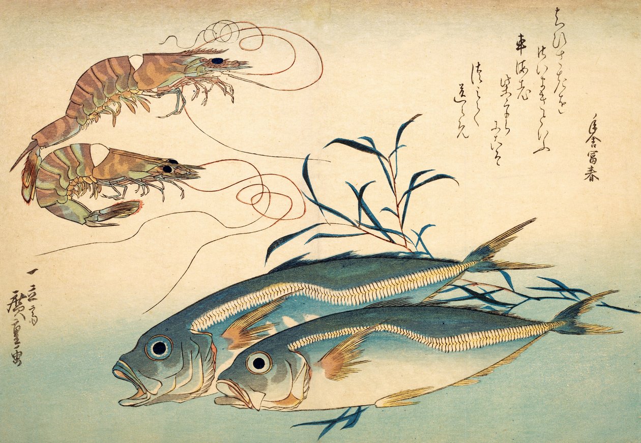 Japansk taggmakrill och japansk tigerräka (träblock i färg) av Ando or Utagawa Hiroshige