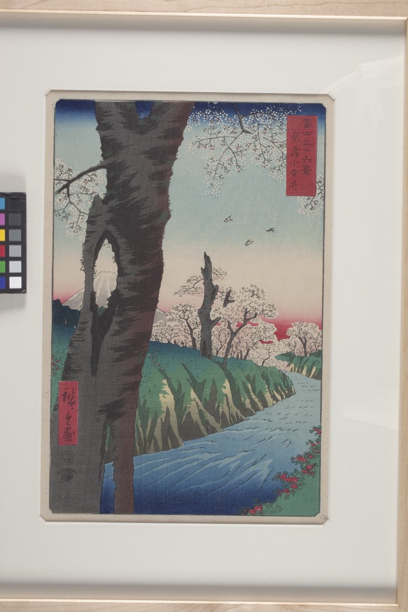 Koganei i Musashi-provinsen (Musashi Koganei) (träblock i färg) av Ando or Utagawa Hiroshige