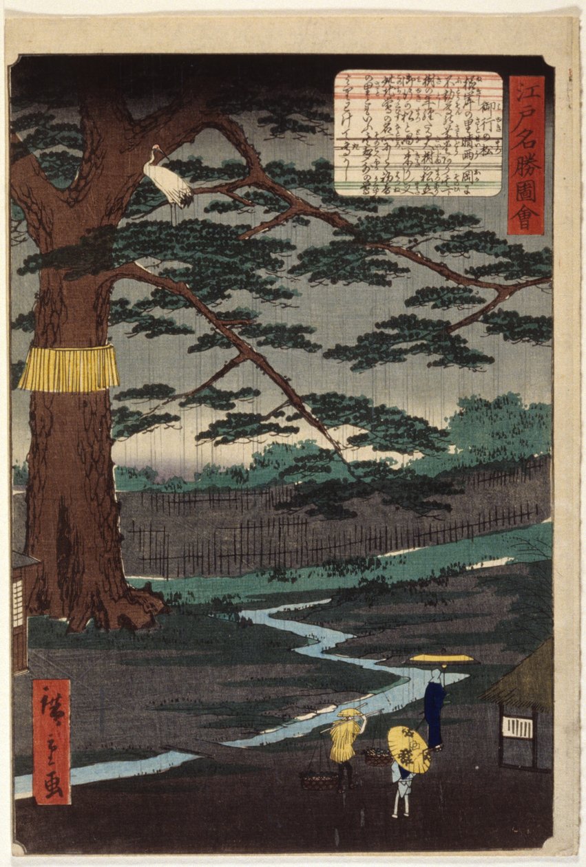 Miyuki Pine (trätryck i färg) av Ando or Utagawa Hiroshige