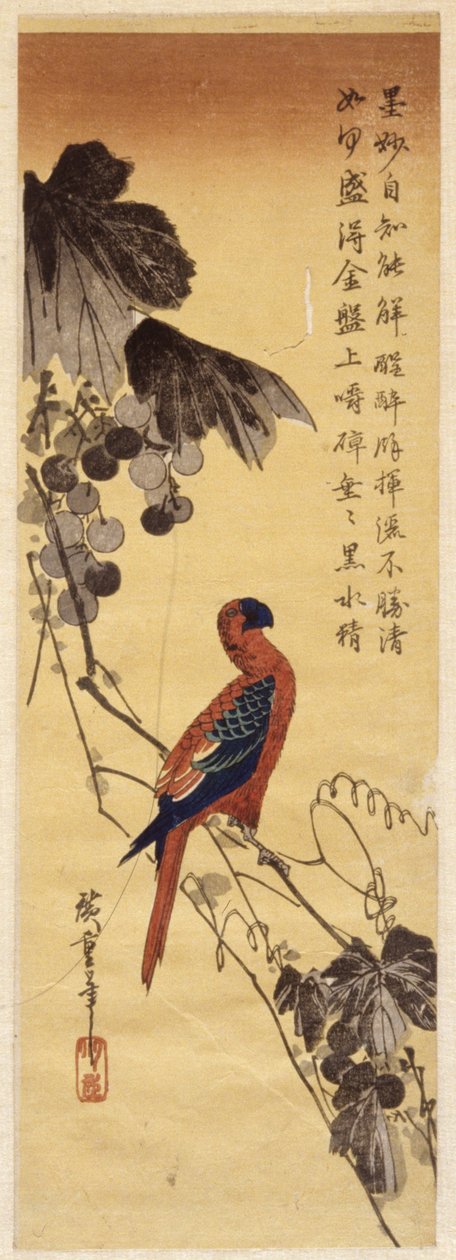 Papegoja och vinrankor (träblock i färg) av Ando or Utagawa Hiroshige