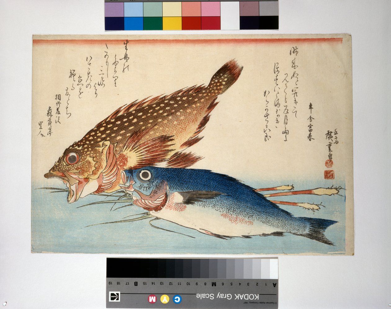 Skorpionfisk och isakifisk med ingefära av Ando or Utagawa Hiroshige