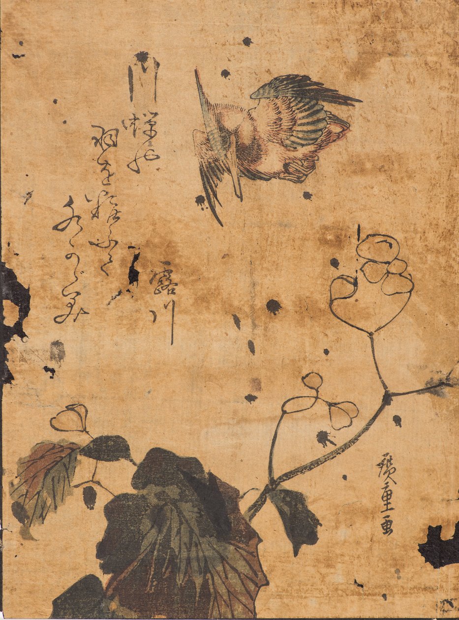 Studie av fågel och växt av Ando or Utagawa Hiroshige