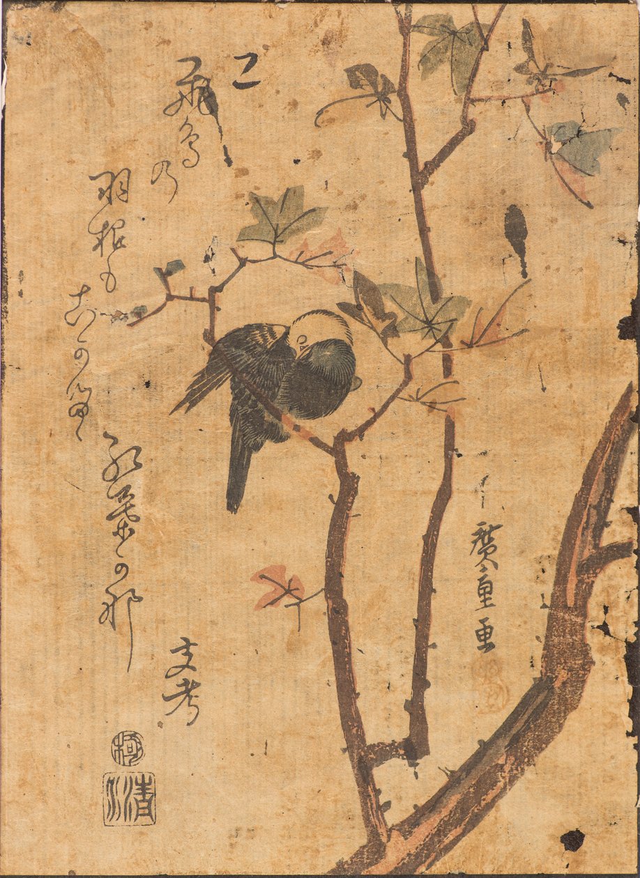 Studie av fågel som sover på gren av Ando or Utagawa Hiroshige