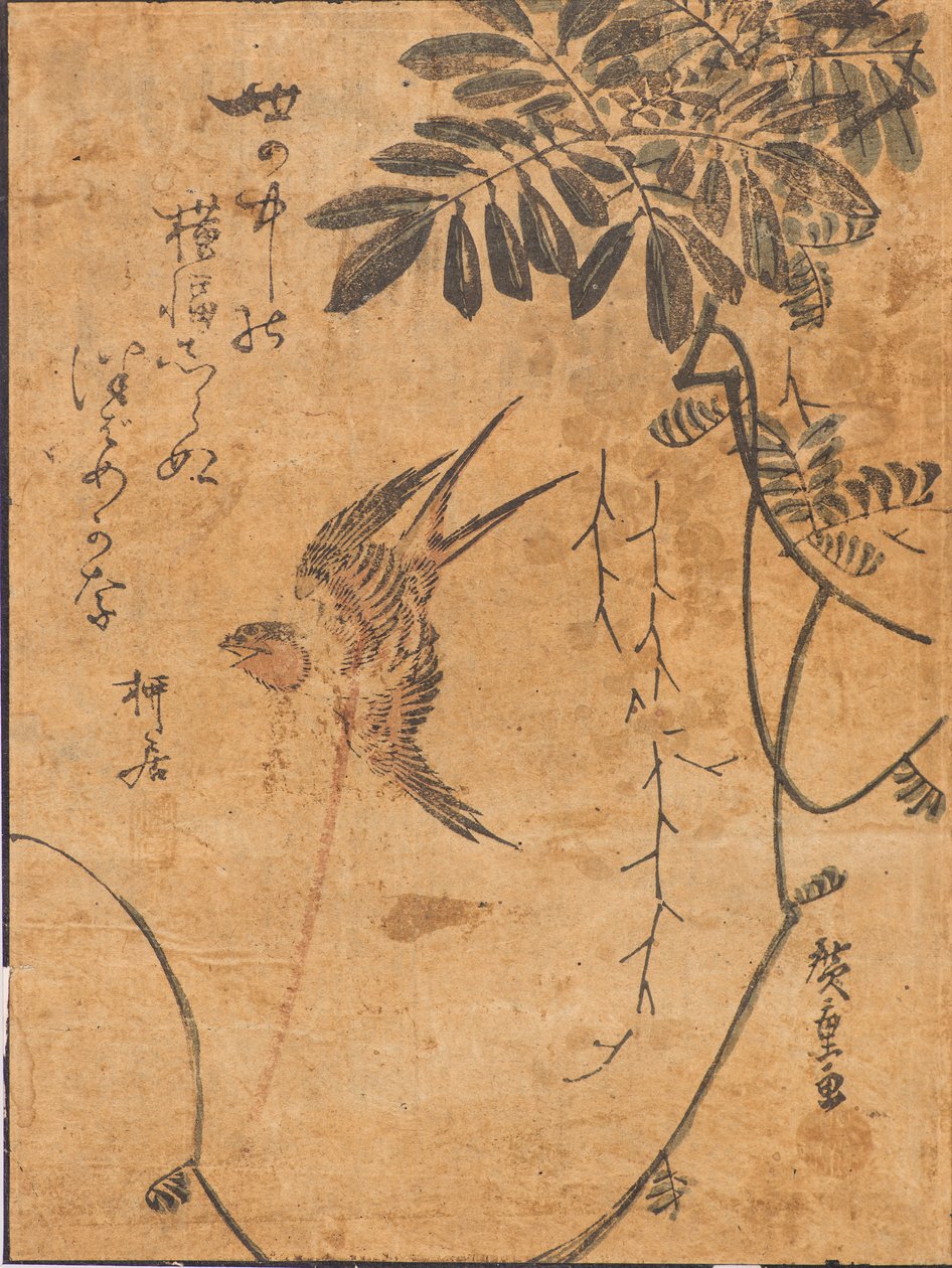 Studie av fågel i flykt och växt av Ando or Utagawa Hiroshige