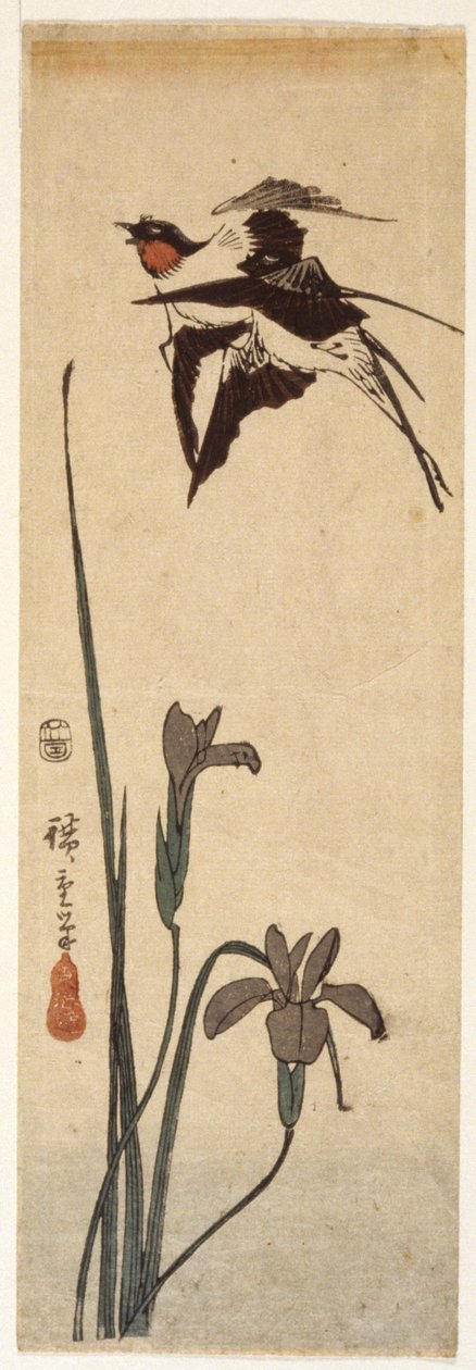 Svalor och Iris (trätryck i färg) av Ando or Utagawa Hiroshige
