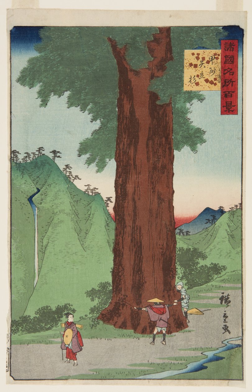 Yatate Cedar Tree i Kai-provinsen (K?sh? Yatate sugi) (träblock i färg) av Ando or Utagawa Hiroshige