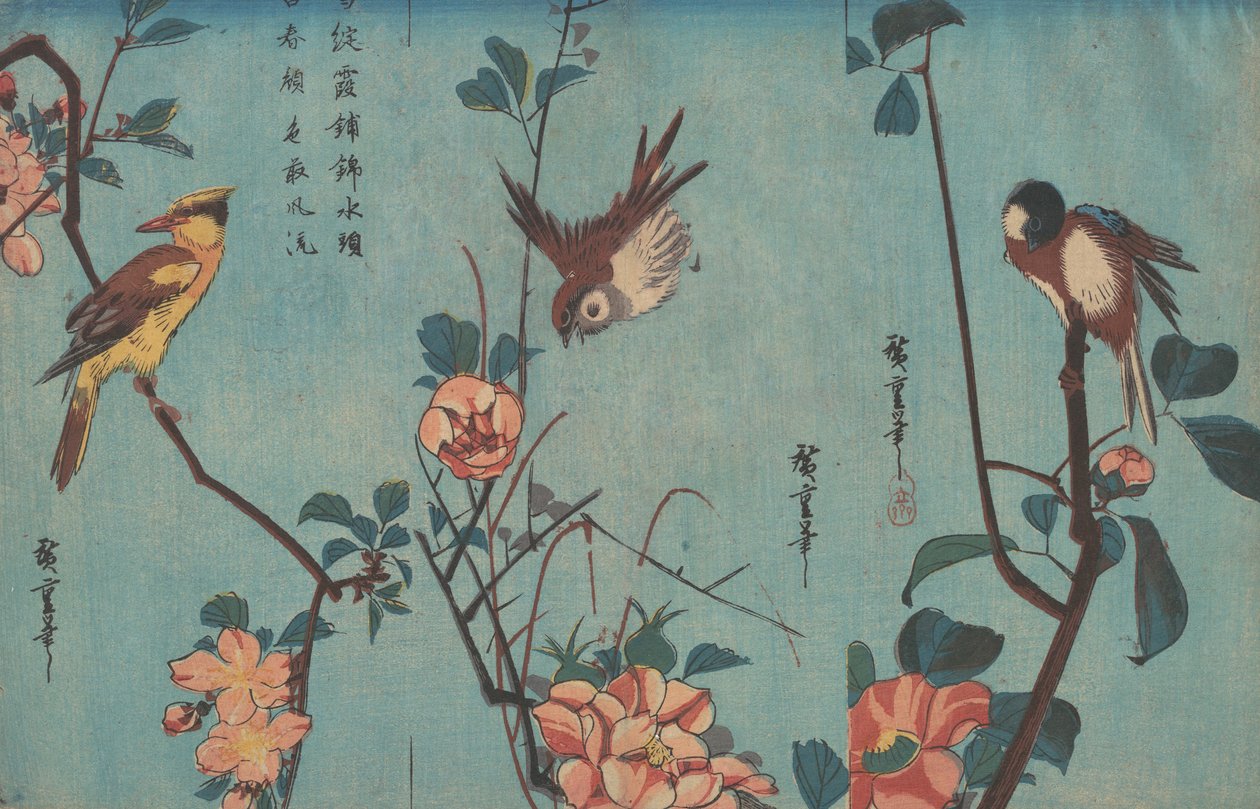 Mejser og kameliaer, spurve og vilde roser og sortnavet oriole og kirsebærblomster, ca. 1833 (træbloktryk) svensk av Ando or Utagawa Hiroshige