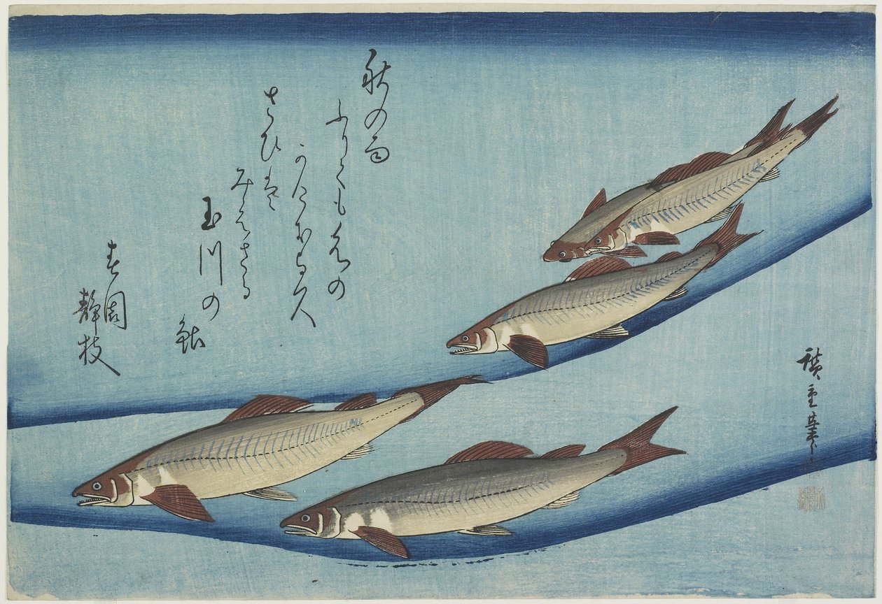 Öring av Ando or Utagawa Hiroshige