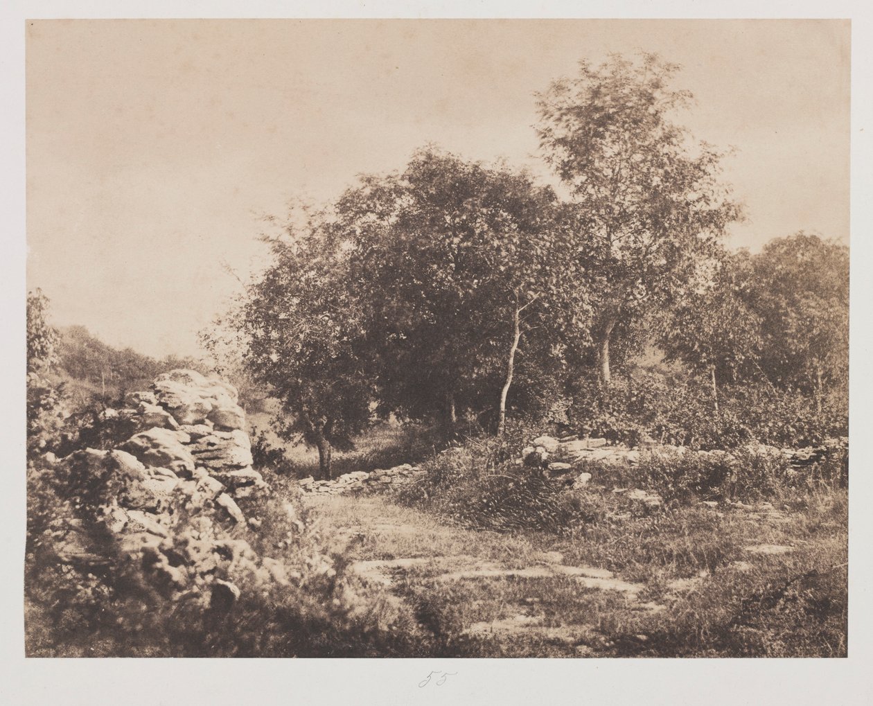 Untitled Scene of Fontainbleau, ca. 1853. av André Giroux