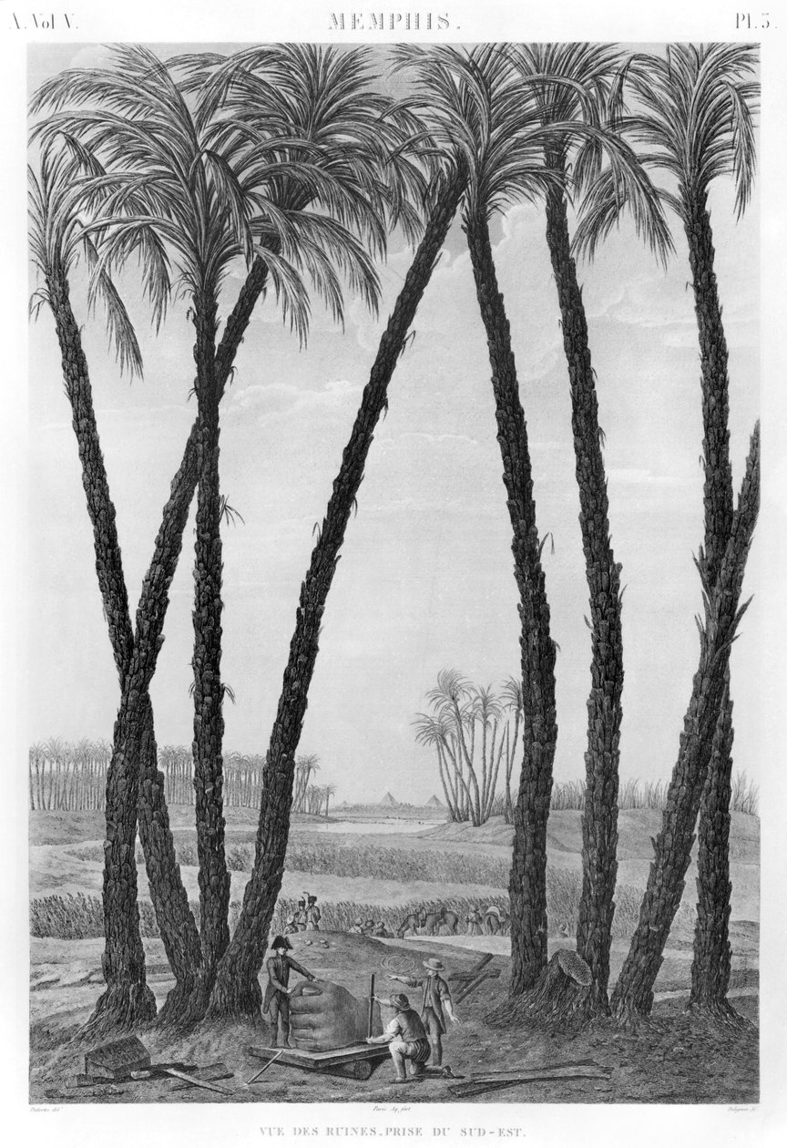 Udsigt over ruinerne af Memphis set fra sydøst, indgraveret af Jean Louis Delignon (1755-1804) swed av Andre Dutertre