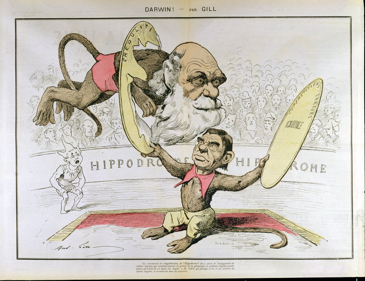 Karikatyr av Charles Darwin (1809-1882) och Emile Littre (1801-1881) som skildrar dem som uppträdande apor på en cirkus av Andre Gill