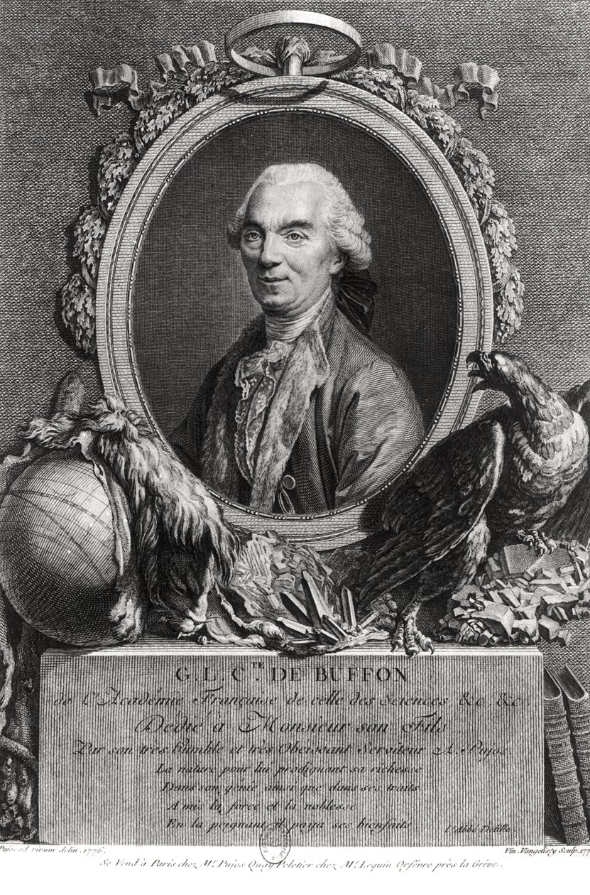 Georges-Louis Leclerc (1707-88) greve av Buffon, graverad av Vincenzio Vangelisti (1738-98) 1777 av Andre Pujos