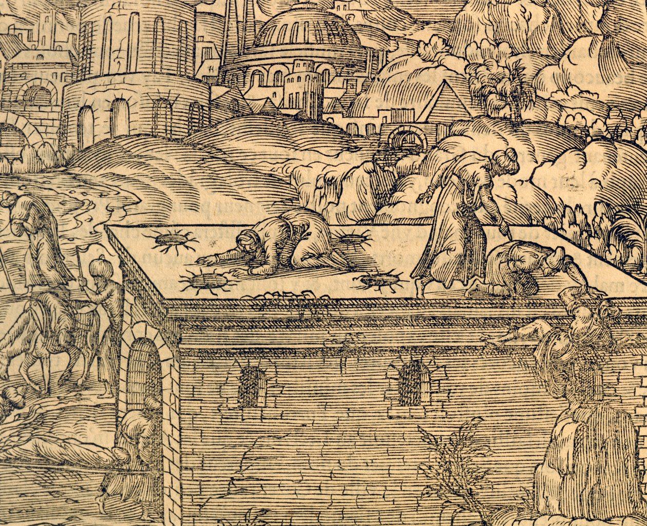 Kristna kyrkogården i Acheldemach, gravyr från Cosmographie universelle, av Andre Thevet (1504-1592), Paris av Andre Thevet