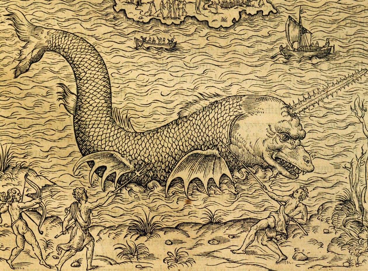 Sjömonster, gravyr från Universal Cosmology, av Andre Thevet (1504-1592), Paris av Andre Thevet