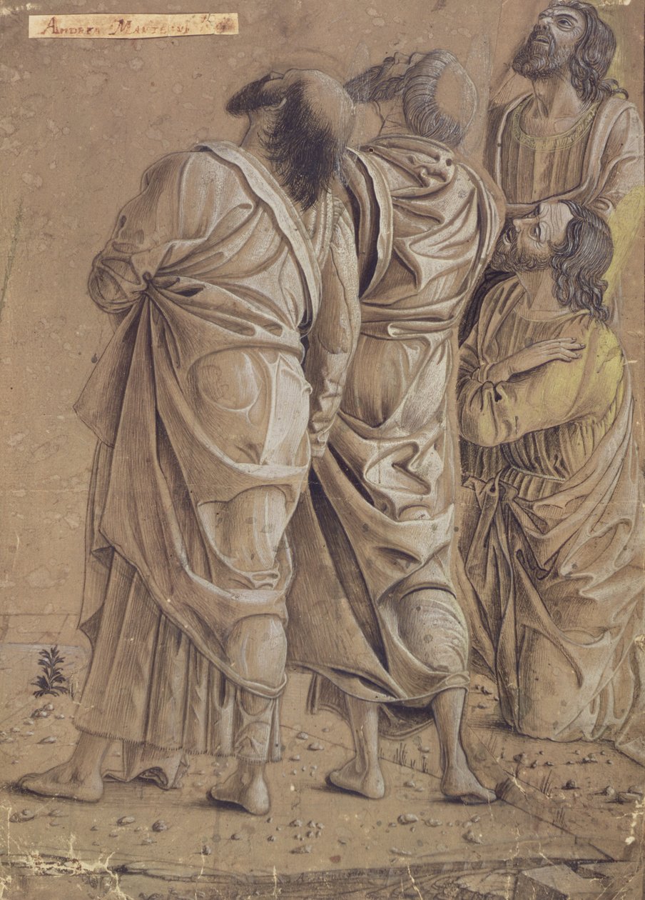 Grupp av apostlar från Kristi himmelsfärd, ca 1506 (färgat bläck, brun tvätt) av Andrea Mantegna