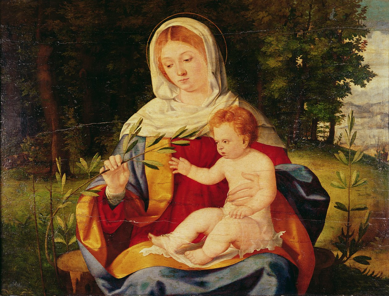 Jungfrun och barnet med ett olivskott, ca 1515 (olja på trä) av Andrea Previtali