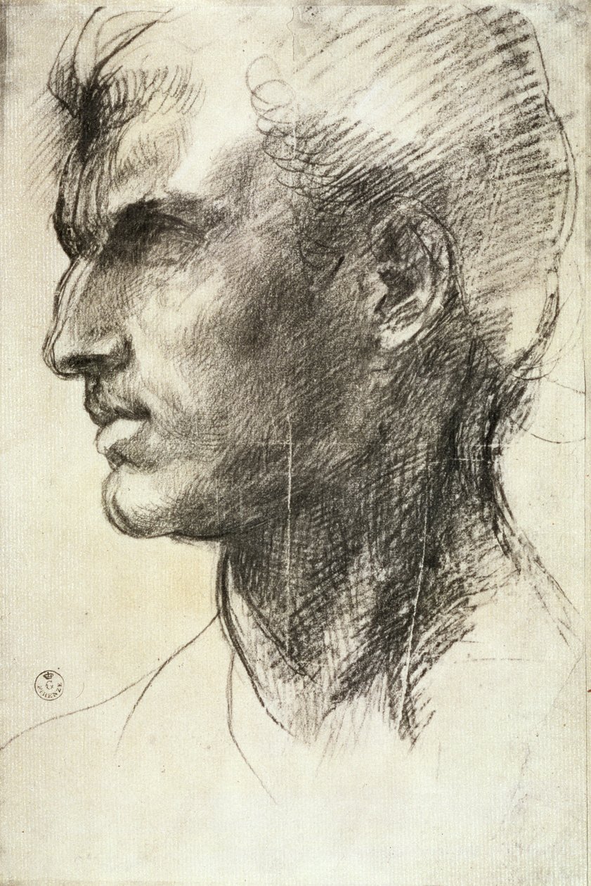 Studie av ett manshuvud (träkol på papper) av Andrea del Sarto