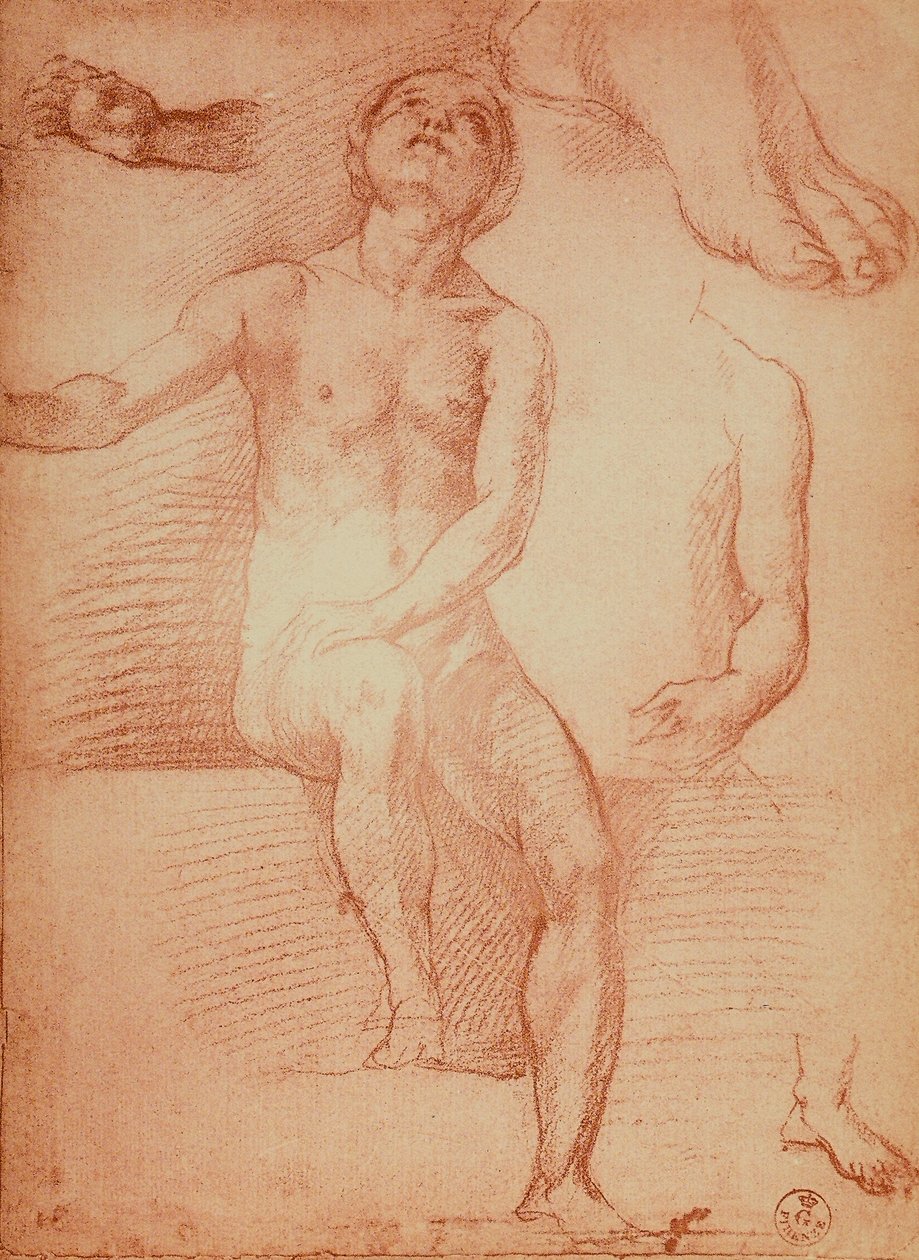 Studie av en naken figur och mänskliga lemmar, teckning av Andrea del Sarto. Cabinet of Drawings and Prints, Uffizi Gallery, Florens av Andrea del Sarto