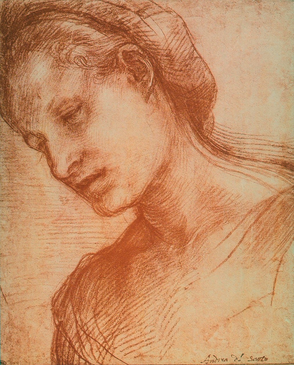 Kvinnors huvud av Andrea del Sarto