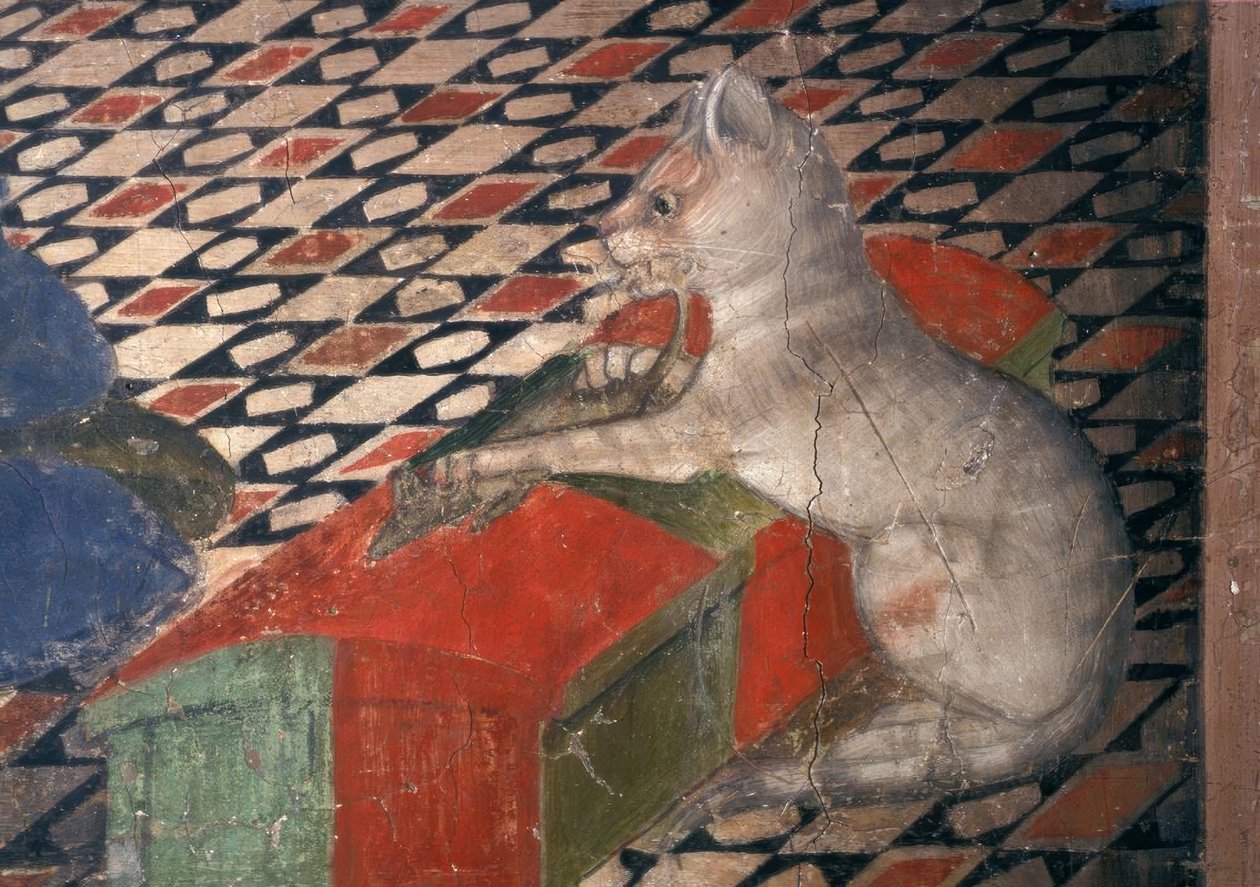 Atri, Dom, Cat / A.Delitio av Andrea Delitio
