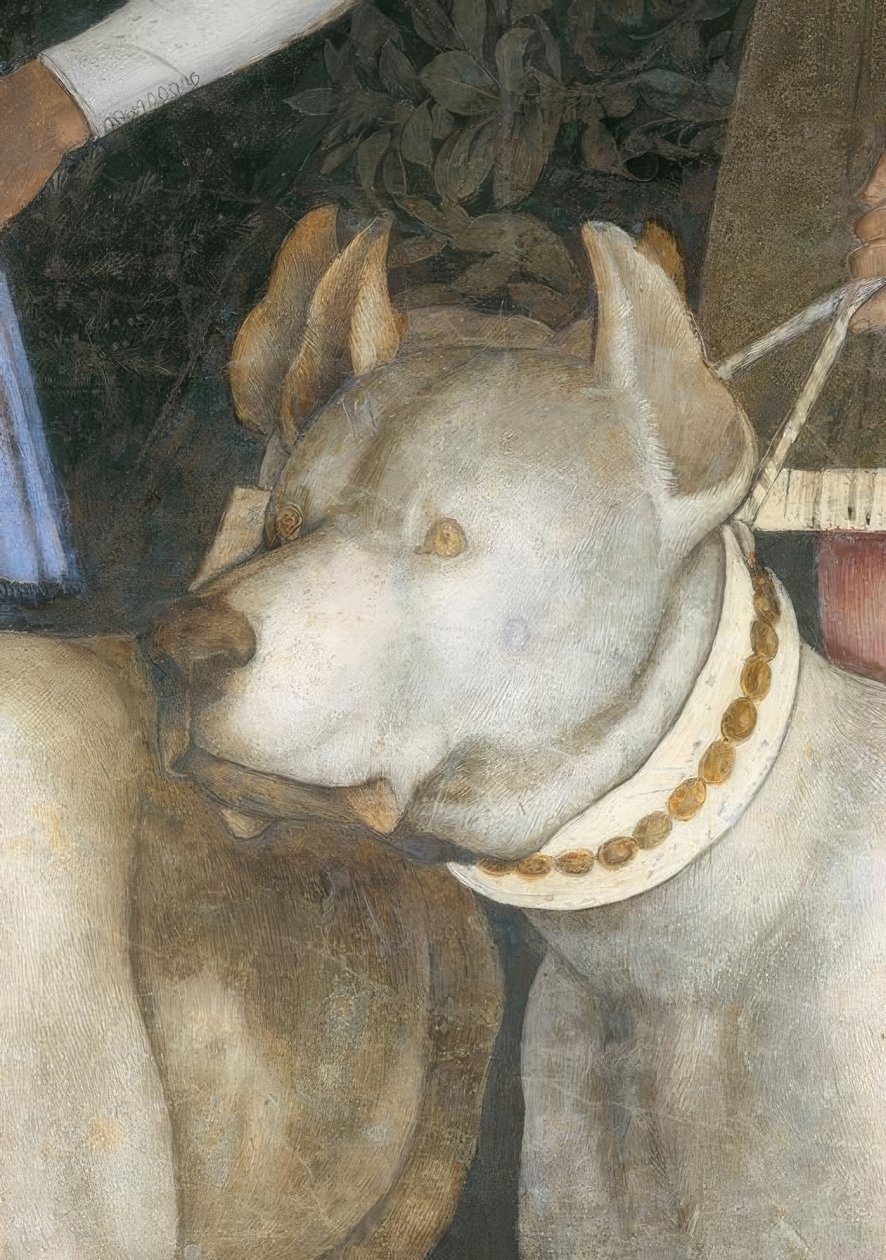 Möte mellan markgreve Lodovico III. Gonzaga med sin av Andrea Mantegna