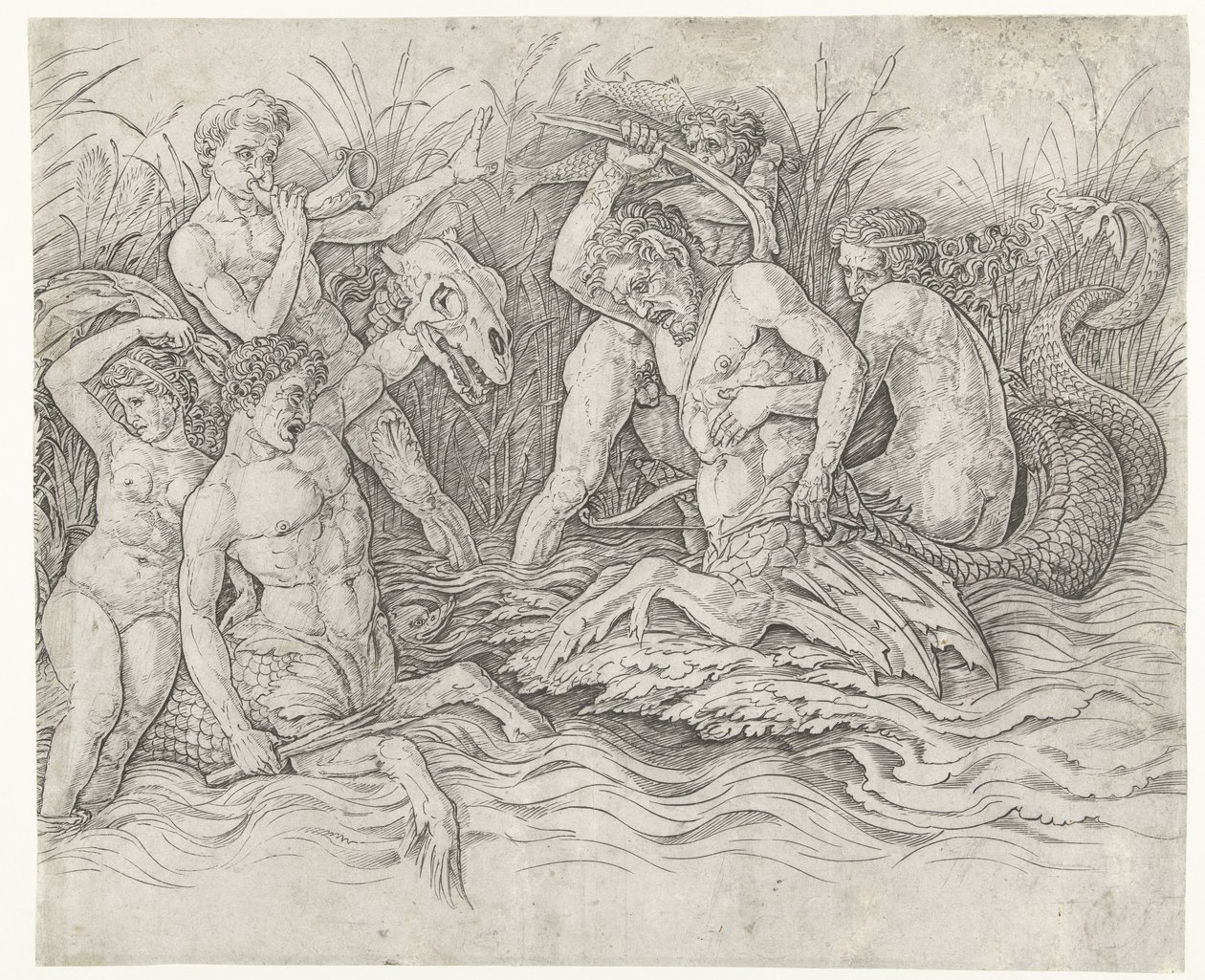 Strid mellan tritoner med nereider på ryggen Slaget om havsgudarna av Andrea Mantegna