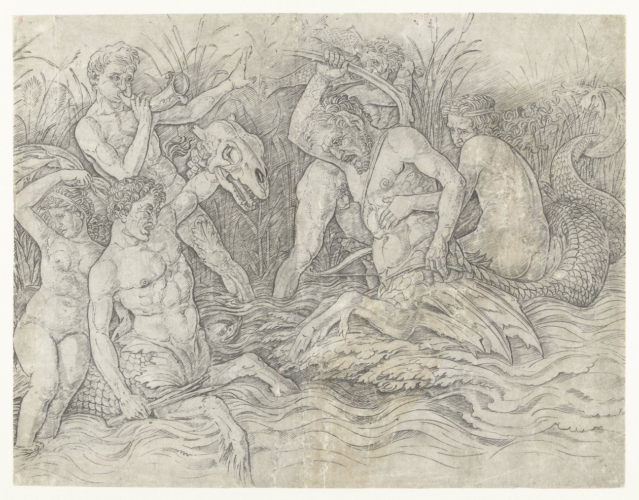 Strid mellan tritoner med nereider på ryggen Slaget om havsgudarna av Andrea Mantegna
