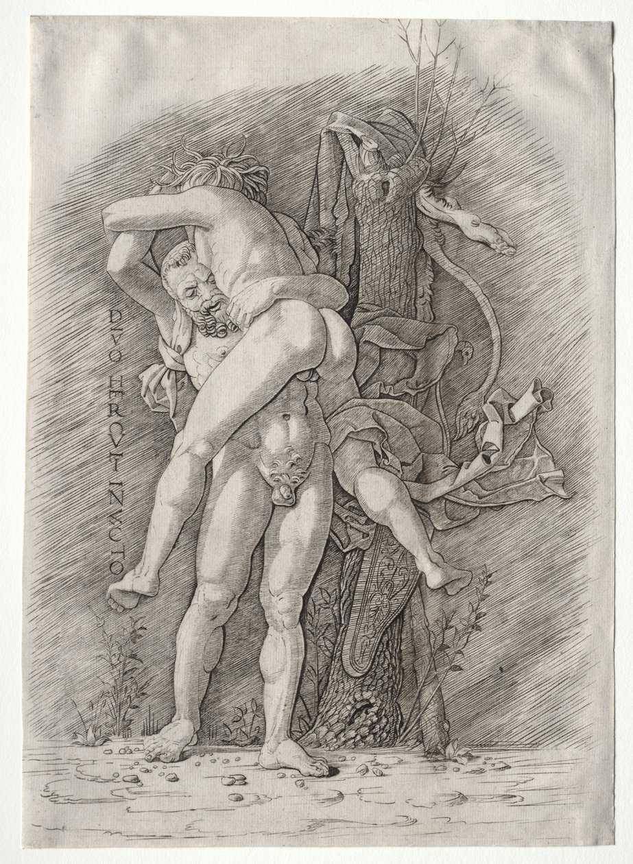 Herkules och Antaeus, 1400-talet. av Andrea Mantegna
