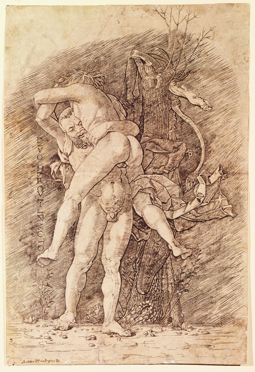 Herkules och Antaeus, av Andrea Mantegna (1431-1506), teckning. av Andrea Mantegna