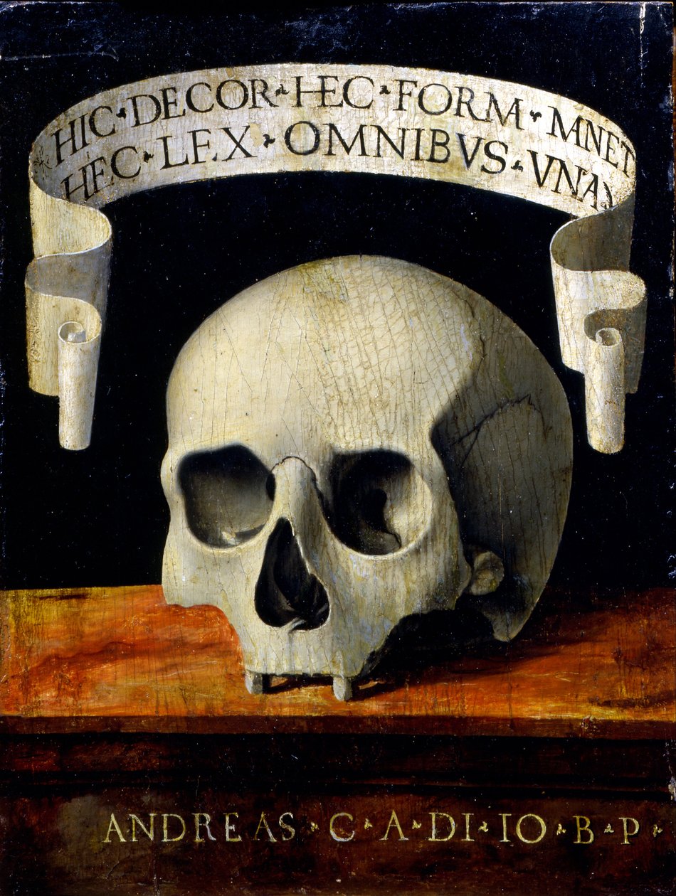 Porträtt av en man - Memento Mori av Andrea Previtali called Cordeliaghi