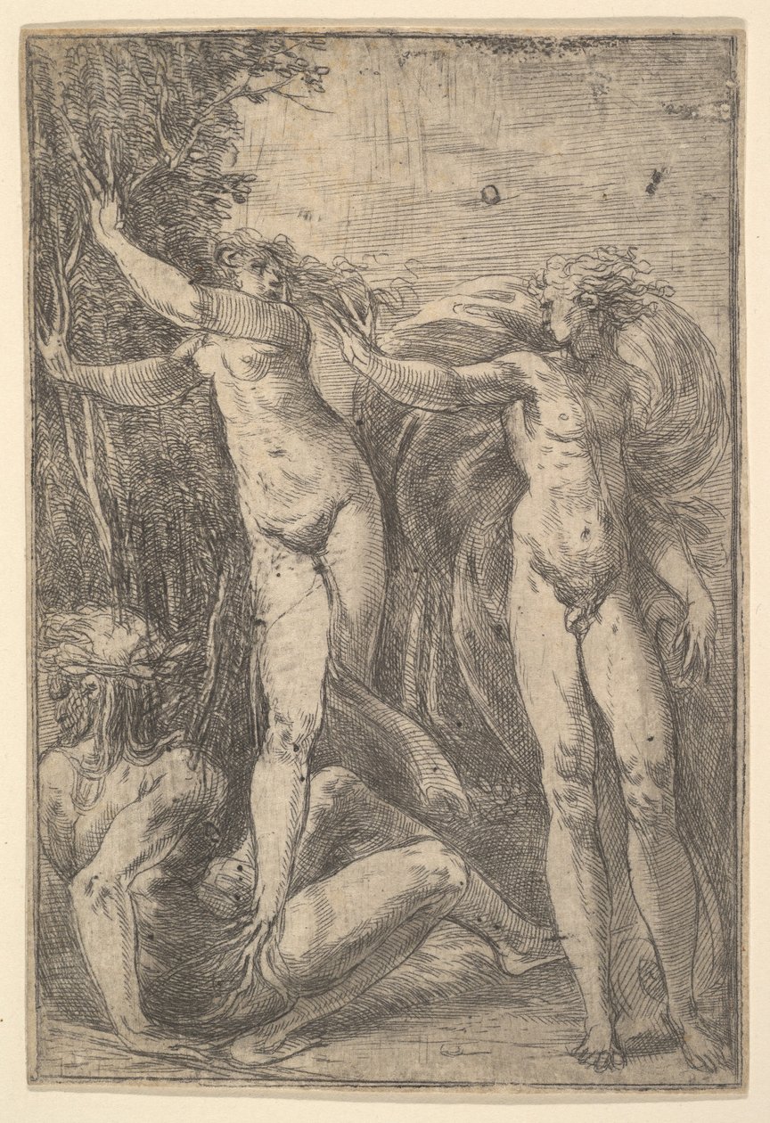 Apollo och Daphne, ca. 1538-40. av Andrea Schiavone