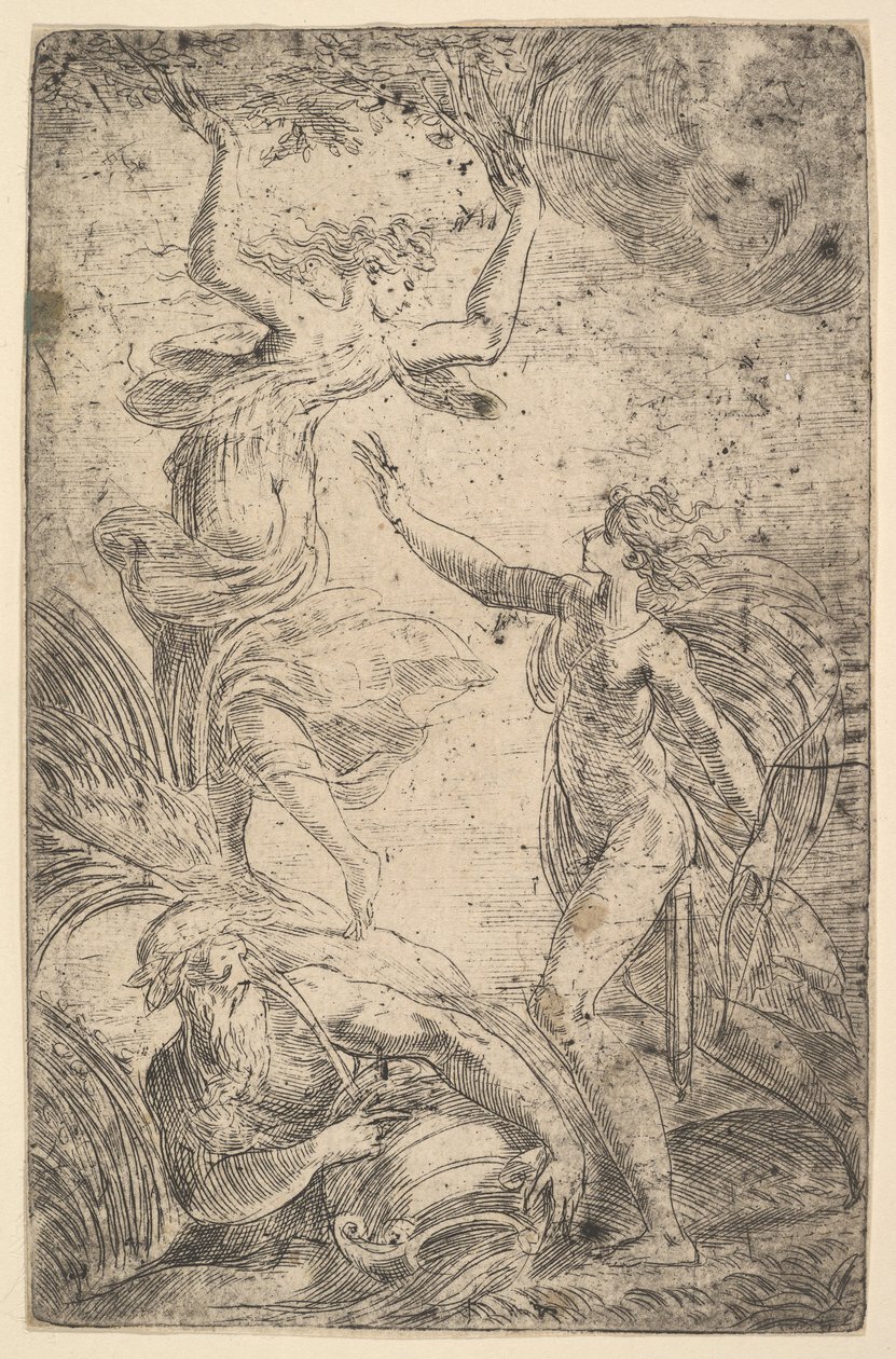 Apollo till höger håller en pilbåge som jagar Daphne till vänster, ca. 1538-40. av Andrea Schiavone