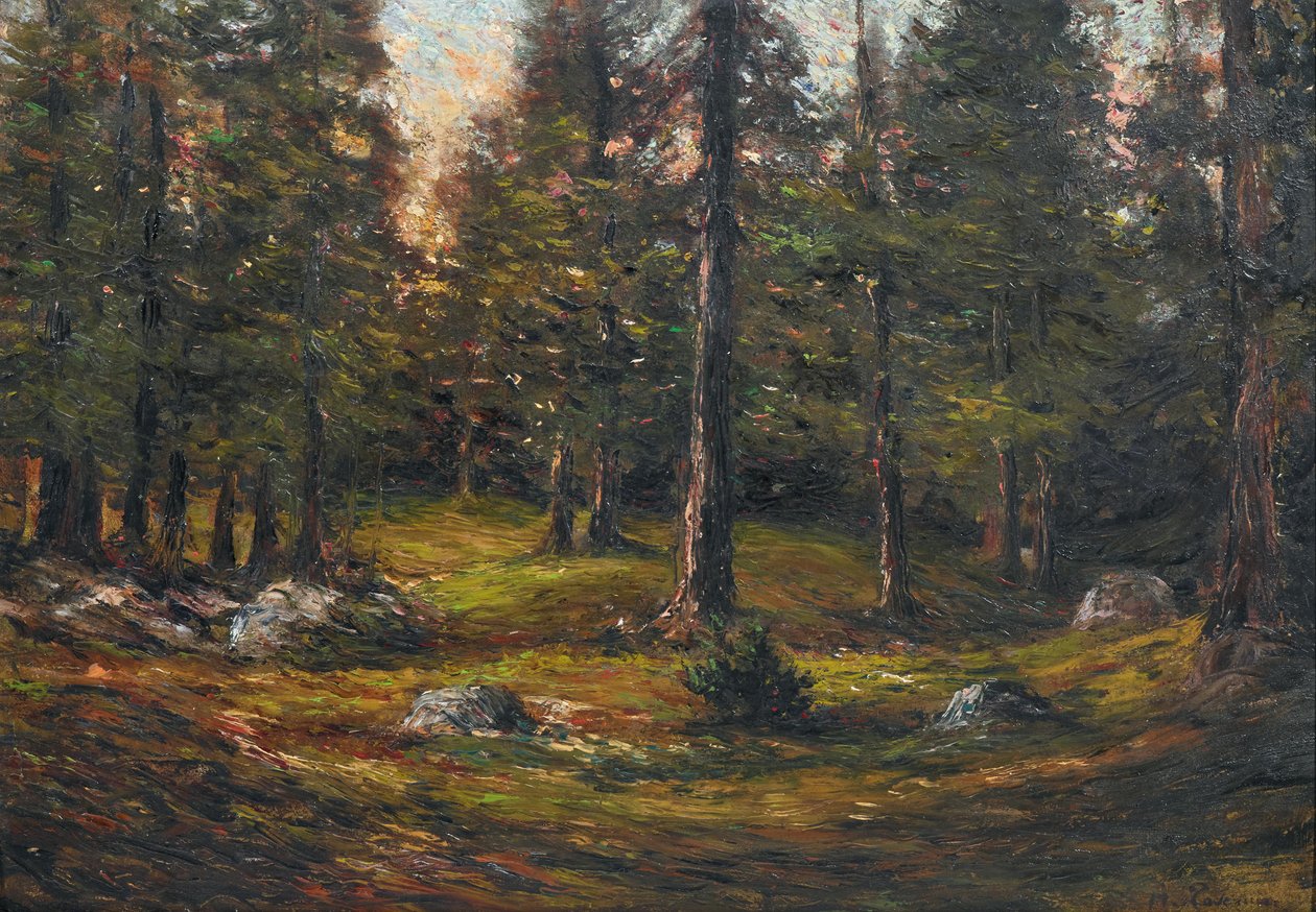 Andrea Tavernier Röjningen av Andrea Tavernier