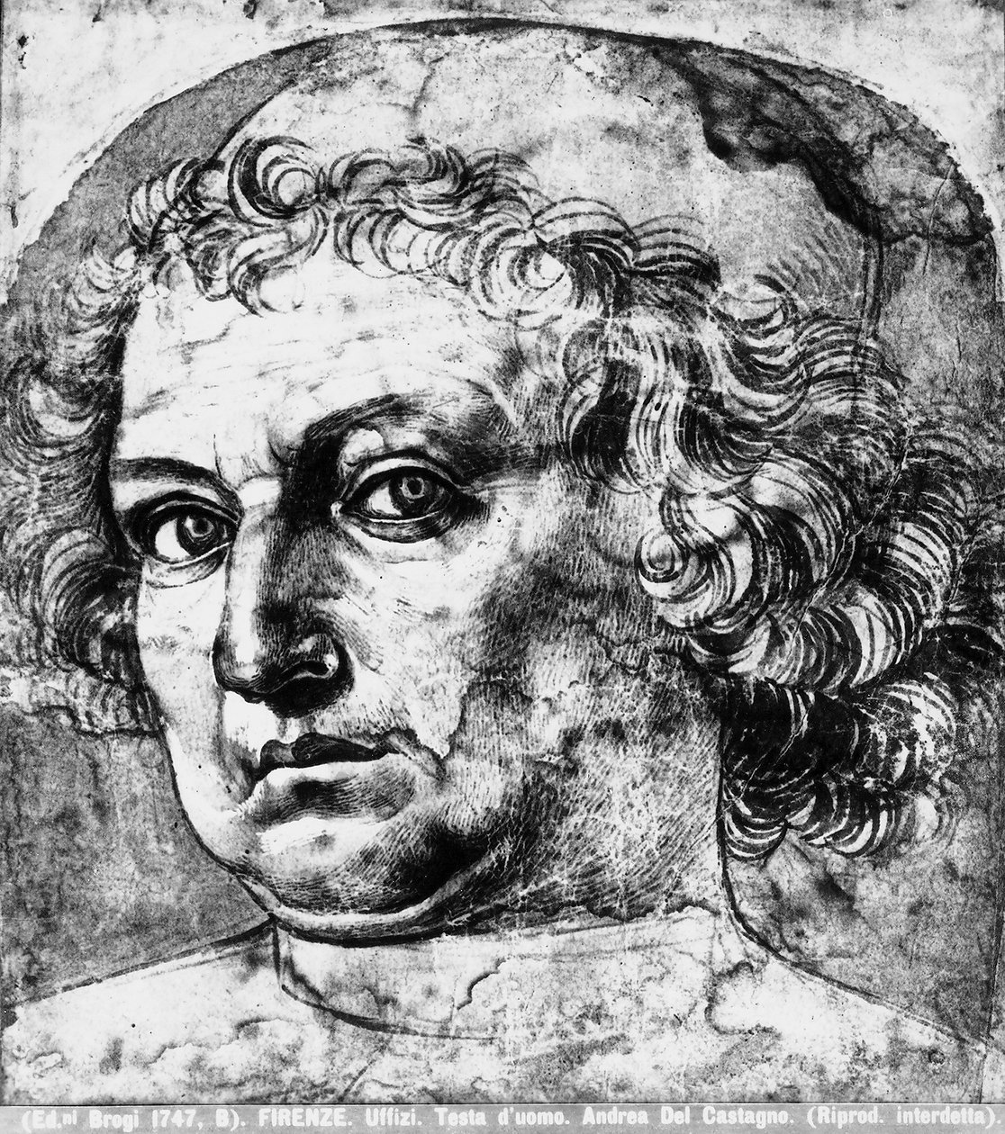 Mans huvud, eller porträtt av Andrea del Verrocchio, ca 1450 av Andrea del Castagno