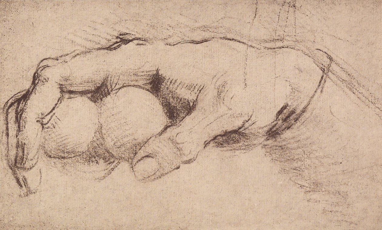 En hand; teckning av Andrea del Sarto