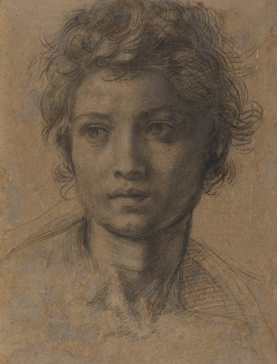 Huvud för Johannes Döparen av Andrea del Sarto