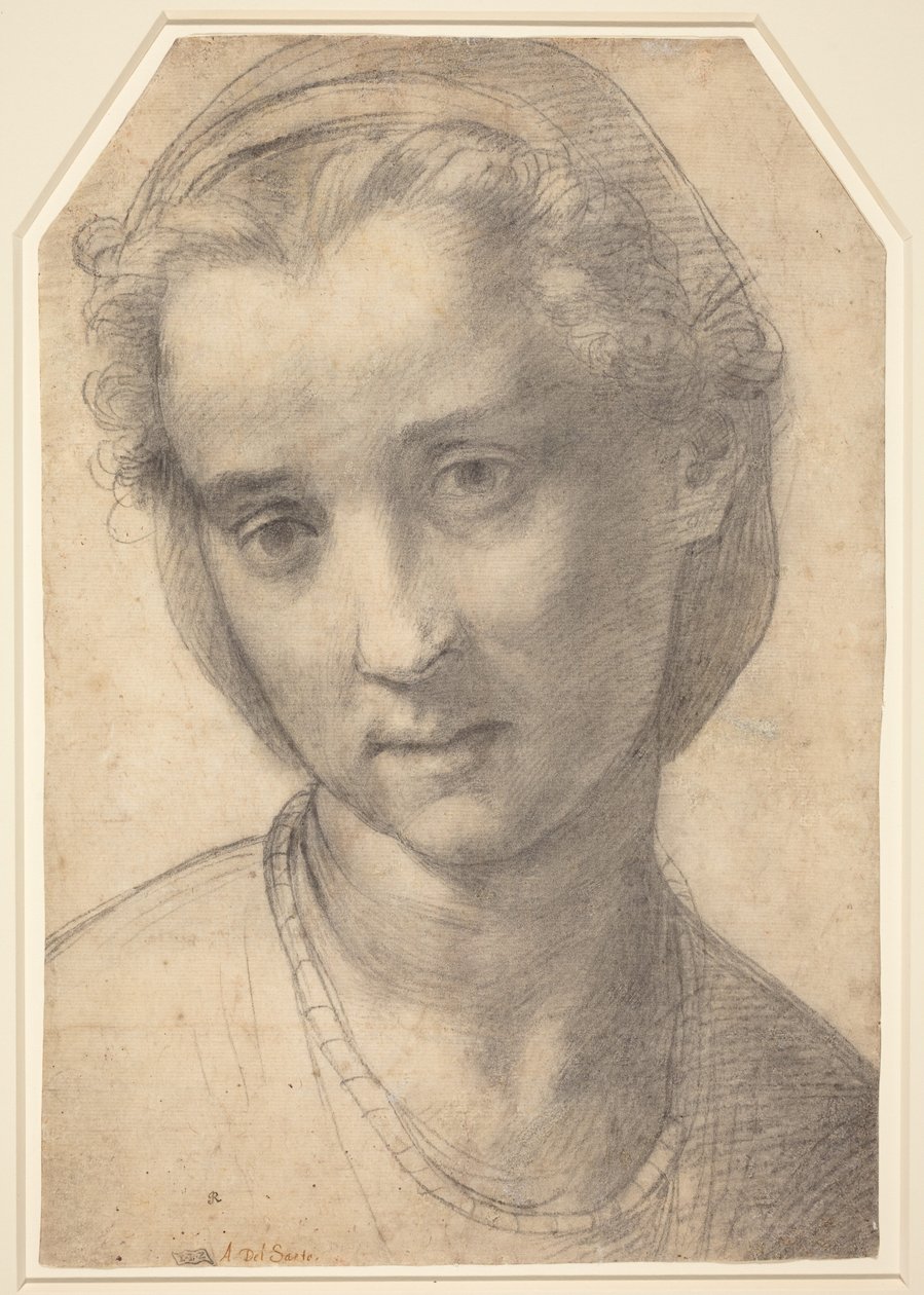 En kvinnas huvud av Andrea del Sarto