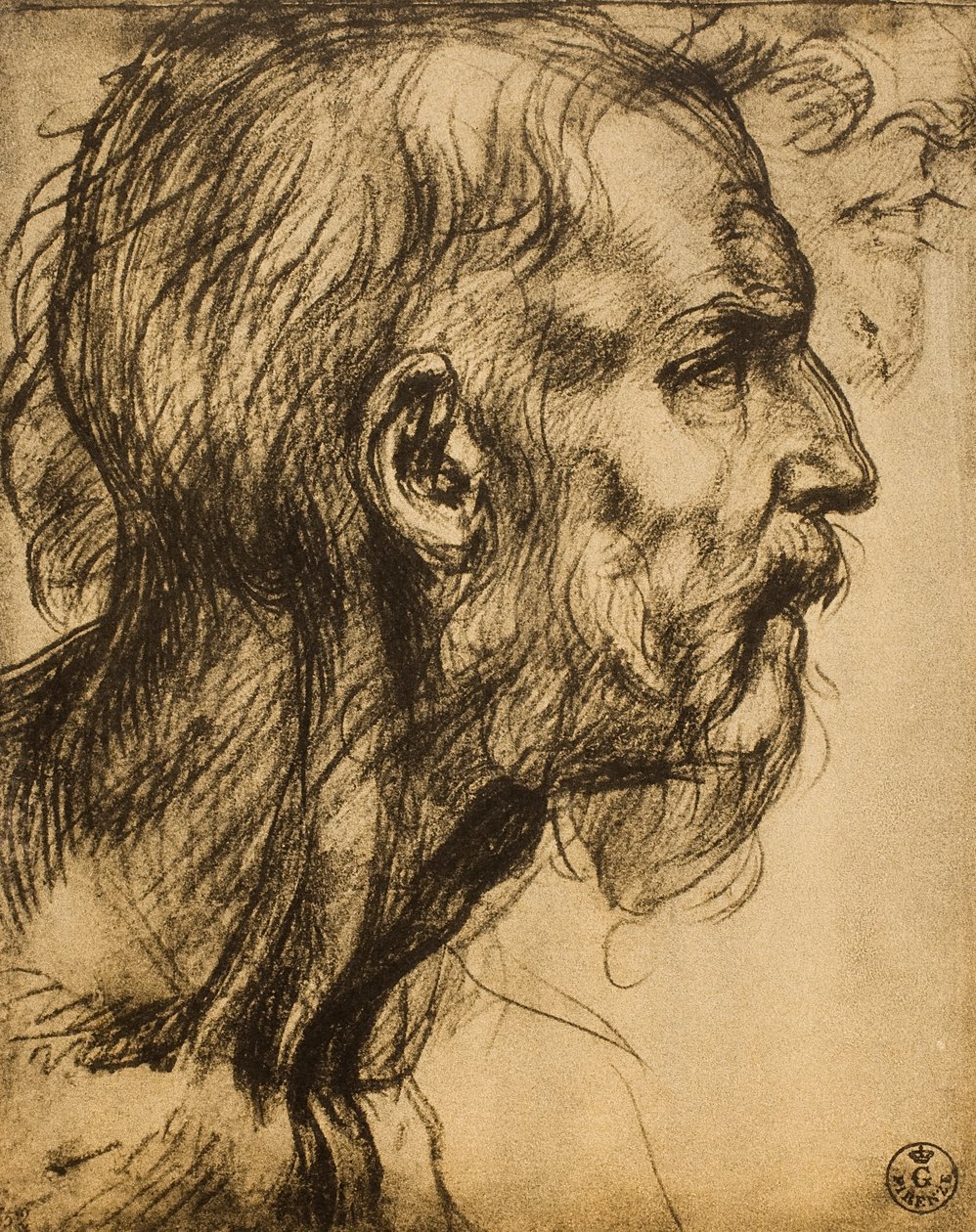 Profeten Sakarias huvud av Andrea del Sarto
