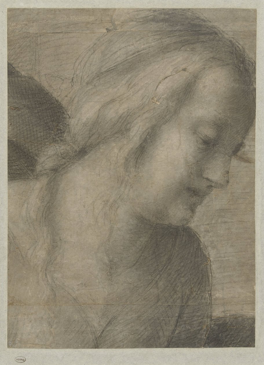 Huvudet av Maria, i en tillbedjan av Andrea del Sarto