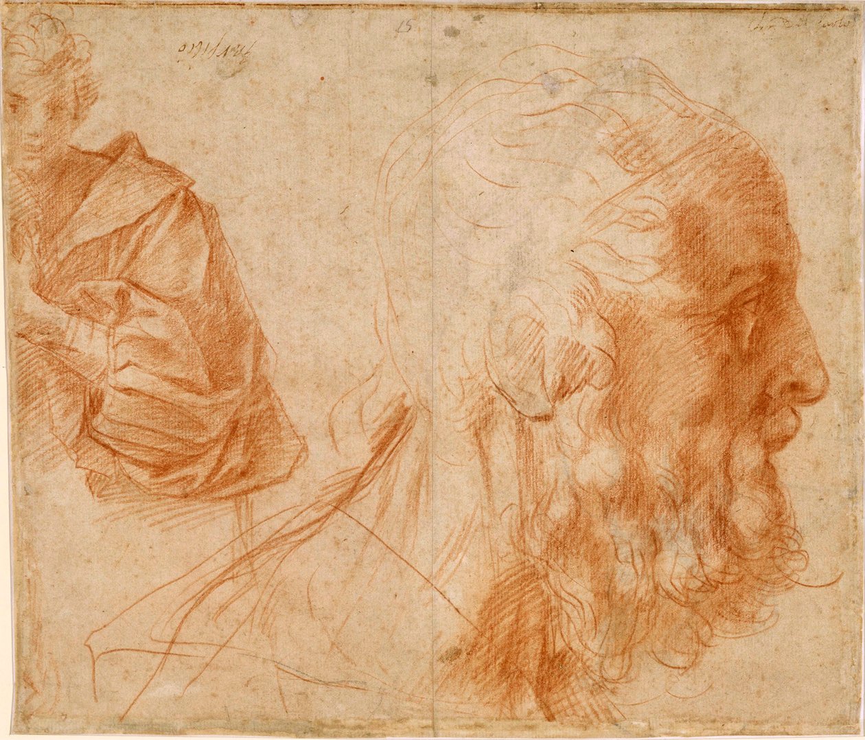 ""Ung man och huvudet av en gammal man, förmodligen Homer"" (En ungdom och huvudet av en gammal man (Homer?)) Rödkritteckning av Andrea del Sarto (1486-1531) Dim 23,9x27,7 cm Studera Sanguine på papper ca 1521 Staatliche Museen, Berlin av Andrea del Sarto