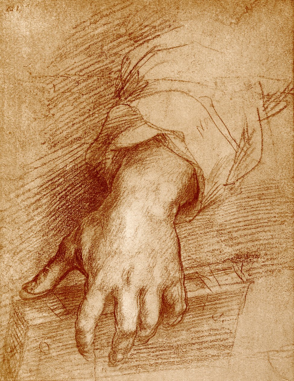 Madonna hand med bok av Andrea del Sarto