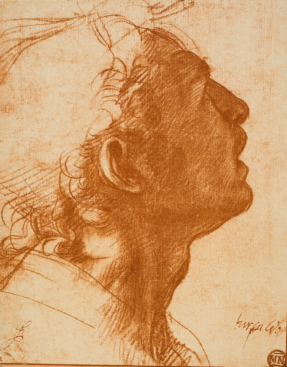 Manligt huvud av Andrea del Sarto