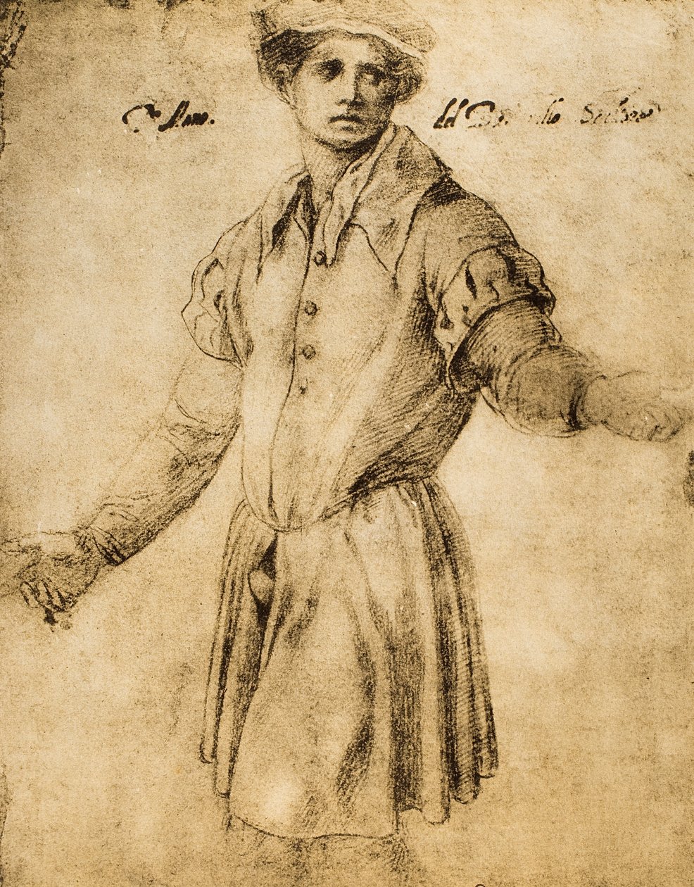 Porträtt av en ung florentinare av Andrea del Sarto