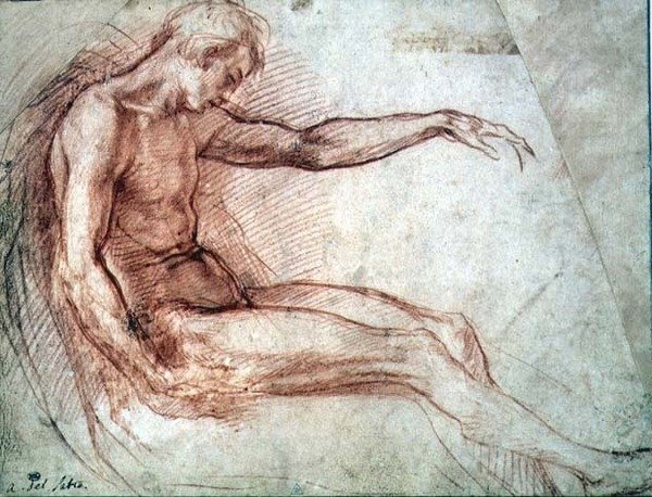 Sittande manlig naken (rödkrita på papper) av Andrea del Sarto