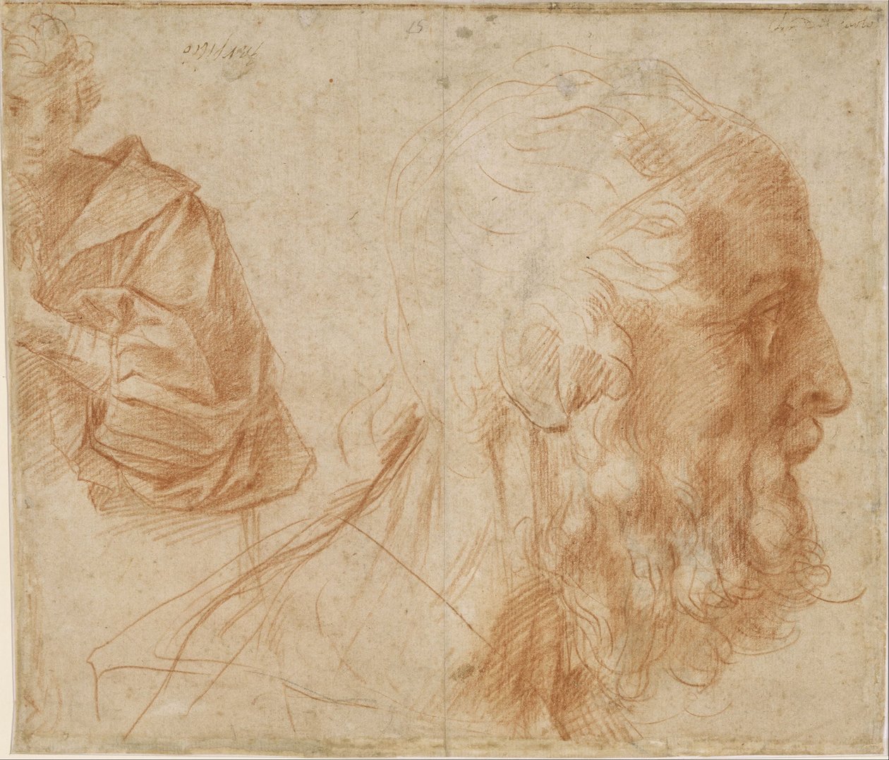 Blad med studier med en yngling och huvudet av en gammal man som tittar åt höger (Homer) av Andrea del Sarto