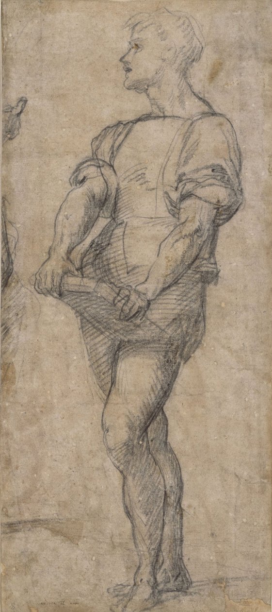 Stående ungdom som håller i en bok, ca 1515 av Andrea del Sarto